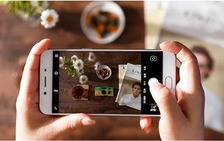 国产手机在线观看