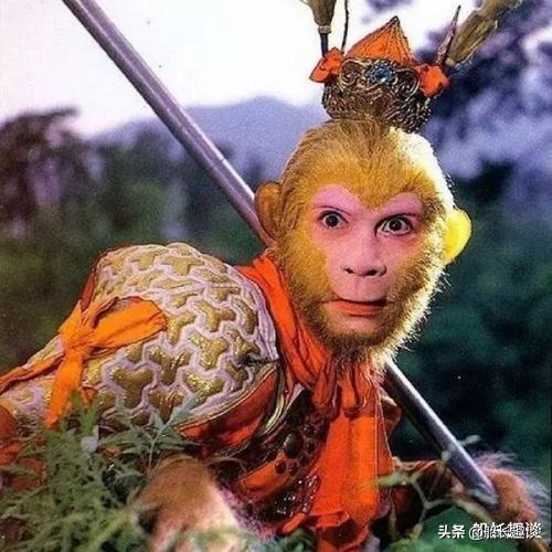 孙悟空吃瓜子,猴王孙悟空的瓜子奇缘